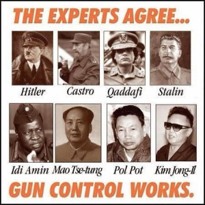 The experts agree... Gun control works