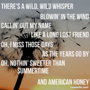 ... Lyrics Quotes Canvas, Songs Lyrics, American Honey Lyrics, Country