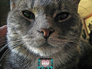 Related Pictures fine art image true love quotes and sayings for him