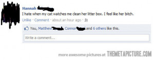 Funny photos funny cat litter box Facebook