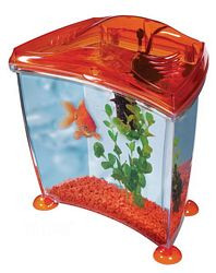 Fish Tank Elite Litre Aquarium With Accessories Great Present