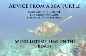 Sea Turtle Sayings