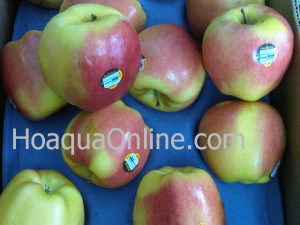 Funny Quotes Contact Us DMCA Notice