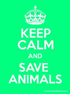 Save animals in the planet ♥ More