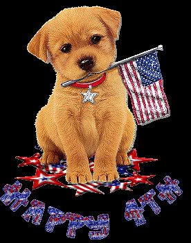 forums: [url=http://www.tumblr18.com/cute-puppy-wishes-you-4th-of-july ...