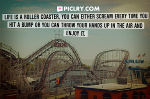 Life is a roller coaster, you can either scream every time you hit a ...
