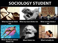 COMMENTS SOCIOLOGY MAJORS HATE TO RECEIVE Freshman year: Sociology ...
