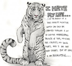 life quotes to live by life quotes to live by