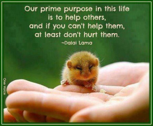Our prime purpose in this life is to help others … and if you ...