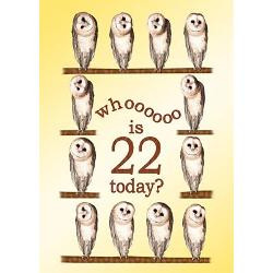 22nd_birthday_with_curious_owls_greeting_cards.jpg?height=250&width ...