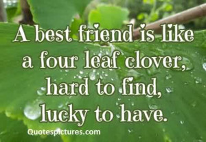 Quotes for friends - A best friend is like a four leaf clover hard ...