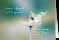 With deepest Sympathy on the loss of your Brother, butterfly card ...