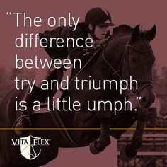 ... horse #horses #equestrian #showjumping #eventing #dressage #