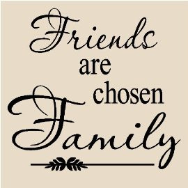 T16- Friends are chosen family 12x12 vinyl wall art decals sayings ...