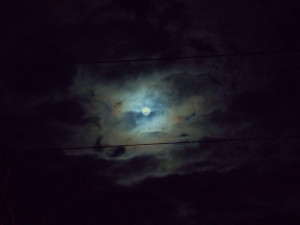 Cloudy Night Rachie