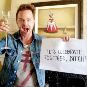 breaking-bad-jesse-pinkman-bitch.jpg