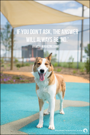 dog-quote-18-pawsh-magazine