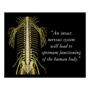 Chiropractic Quotes & Sayings Nerves Print