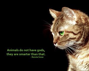 Tags: animals cat god quote