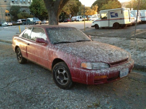 Bird Poop Covered Car Funny